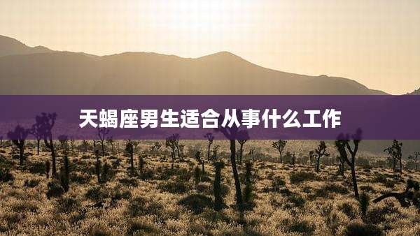 天蝎座男生适合从事什么工作