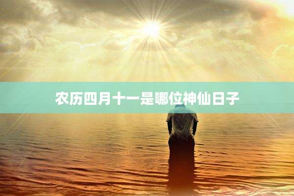 农历四月十一是哪位神仙日子