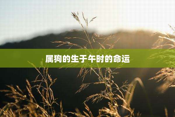 属狗的生于午时的命运