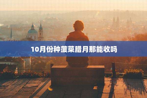 10月份种菠菜腊月那能收吗