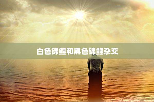 白色锦鲤和黑色锦鲤杂交
