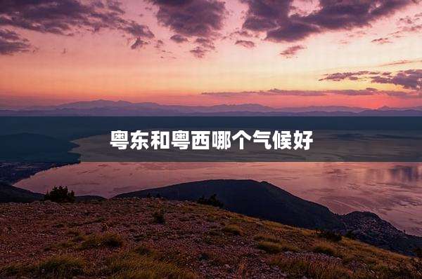 粤东和粤西哪个气候好