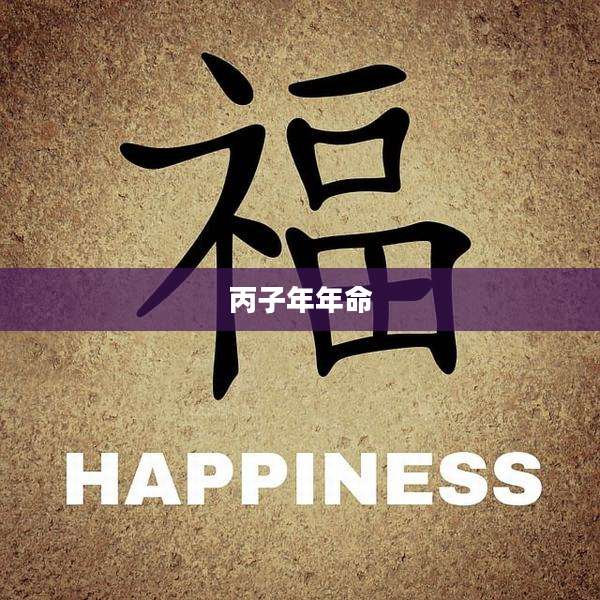 丙子年年命
