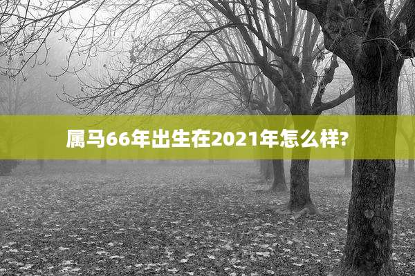属马66年出生在2021年怎么样?