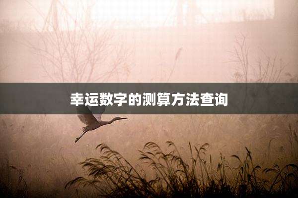 幸运数字的测算方法查询