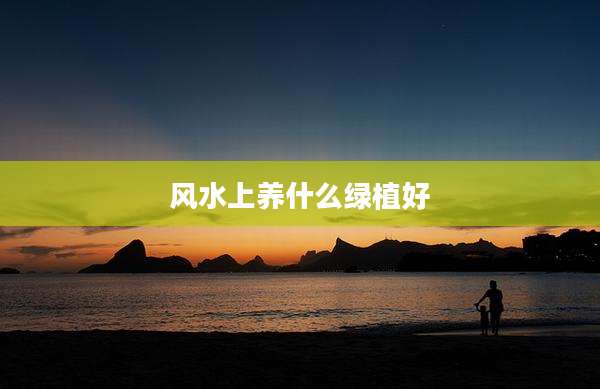 风水上养什么绿植好