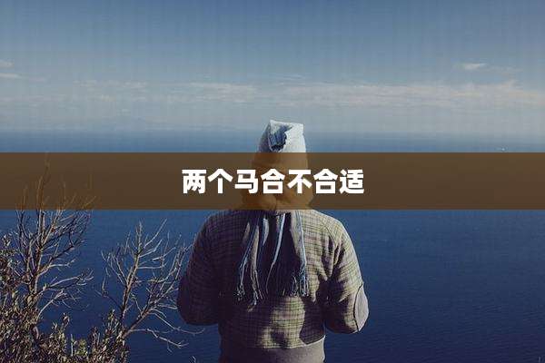 两个马合不合适