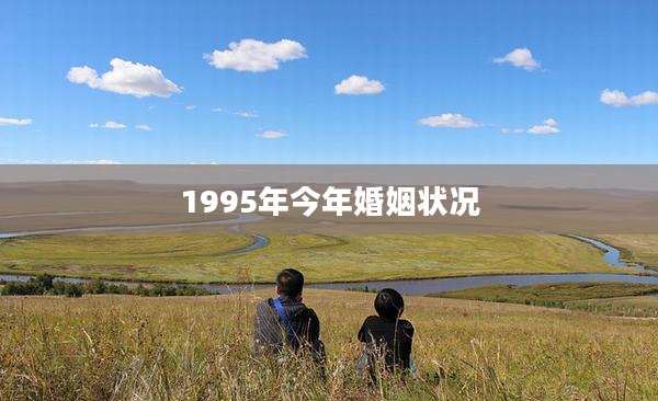 1995年今年婚姻状况