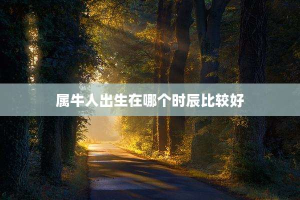属牛人出生在哪个时辰比较好