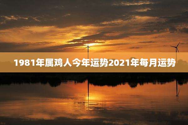 1981年属鸡人今年运势2021年每月运势