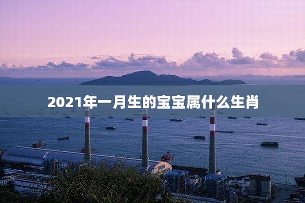 2021年一月生的宝宝属什么生肖
