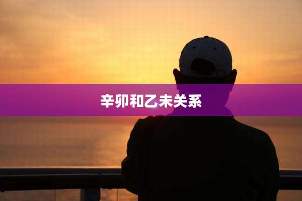 辛卯和乙未关系
