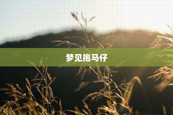 梦见抱马仔