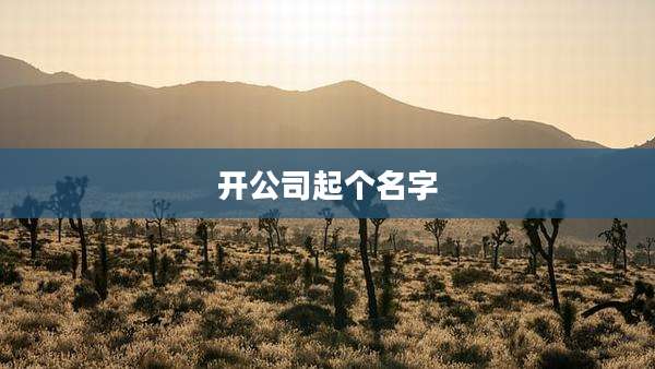 开公司起个名字