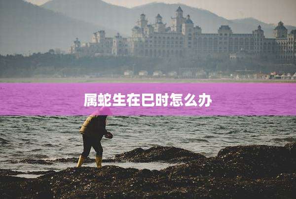 属蛇生在巳时怎么办
