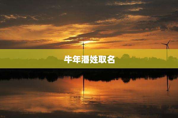 牛年潘姓取名