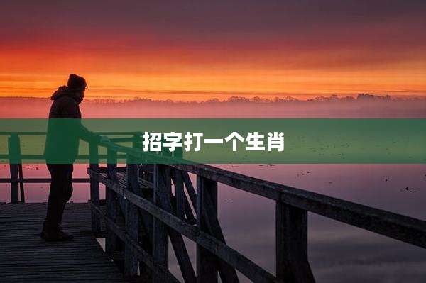 招字打一个生肖