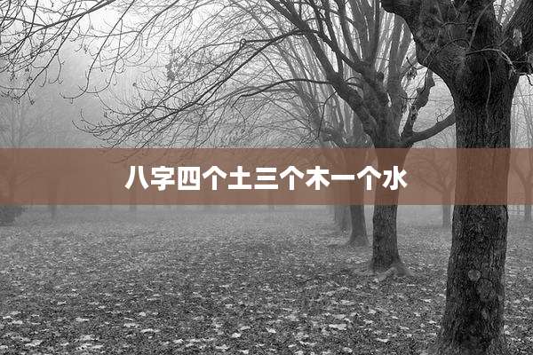 八字四个土三个木一个水