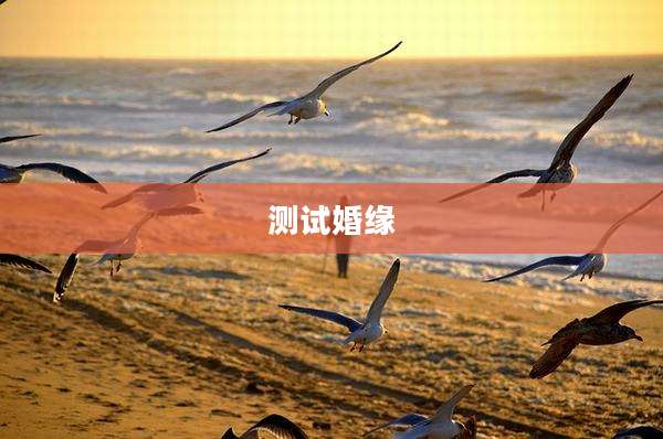 测试婚缘