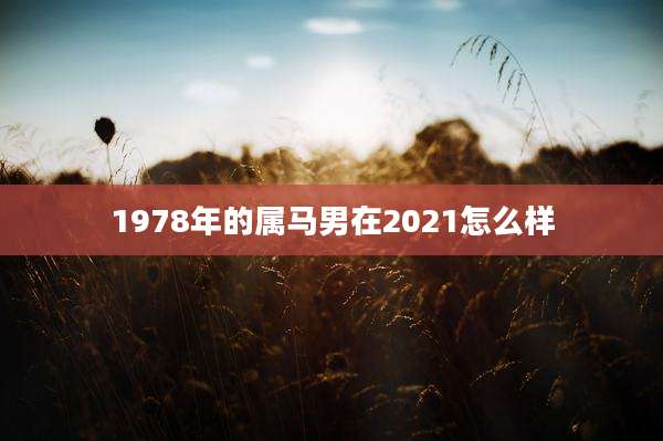 1978年的属马男在2021怎么样