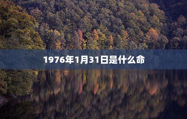 1976年1月31日是什么命