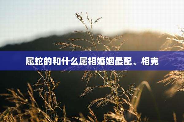 属蛇的和什么属相婚姻最配、相克