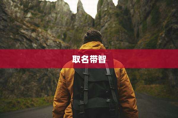 取名带智