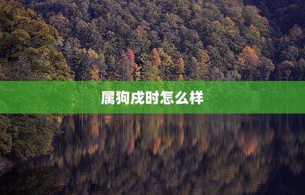 属狗戍时怎么样
