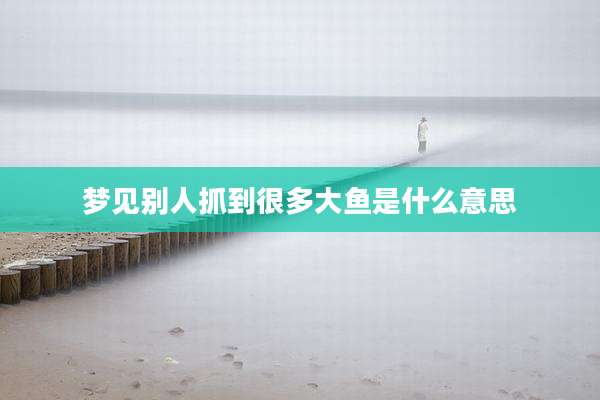 梦见别人抓到很多大鱼是什么意思