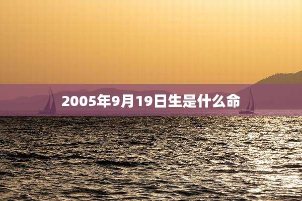 2005年9月19日生是什么命