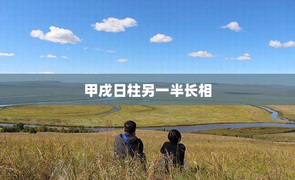甲戌日柱另一半长相