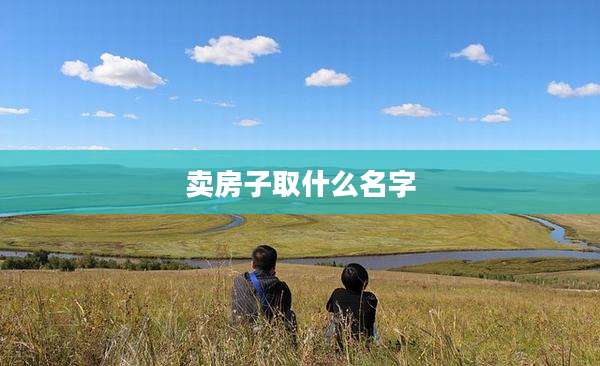 卖房子取什么名字