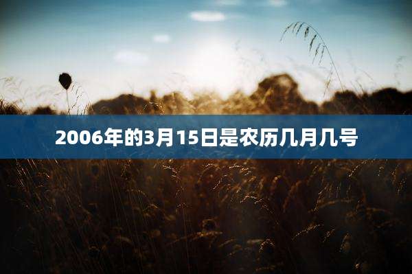 2006年的3月15日是农历几月几号