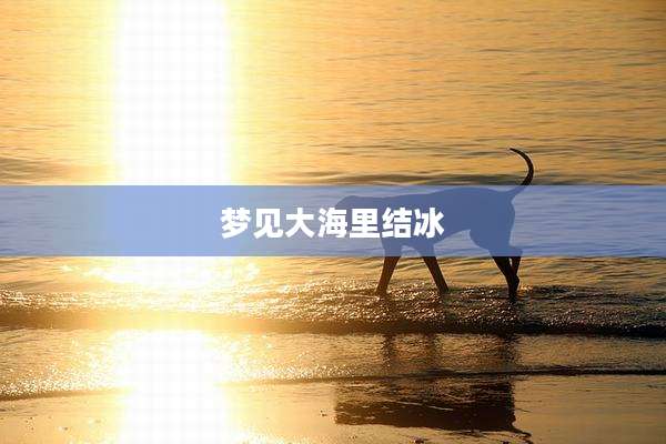 梦见大海里结冰