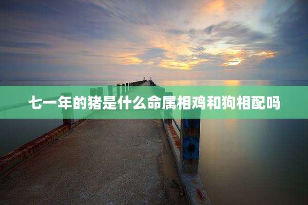 七一年的猪是什么命属相鸡和狗相配吗