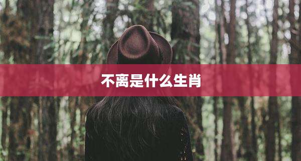 不离是什么生肖
