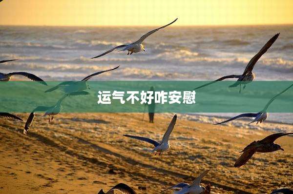 运气不好咋安慰