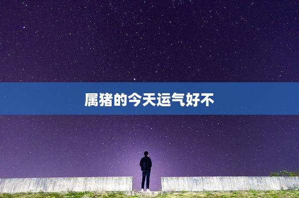 属猪的今天运气好不