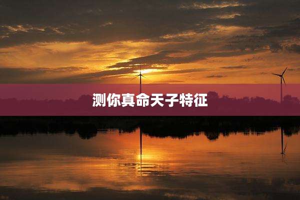 测你真命天子特征