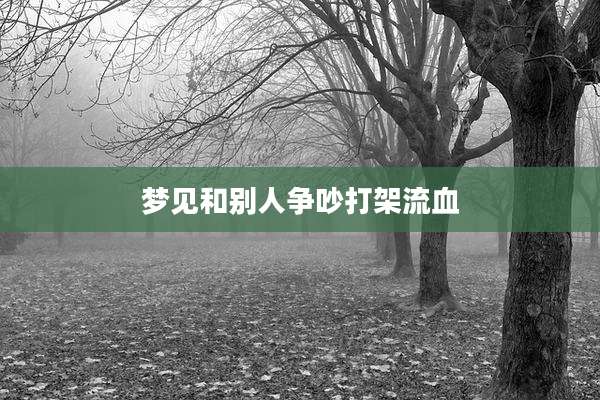 梦见和别人争吵打架流血