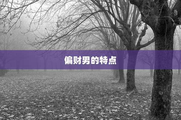 偏财男的特点