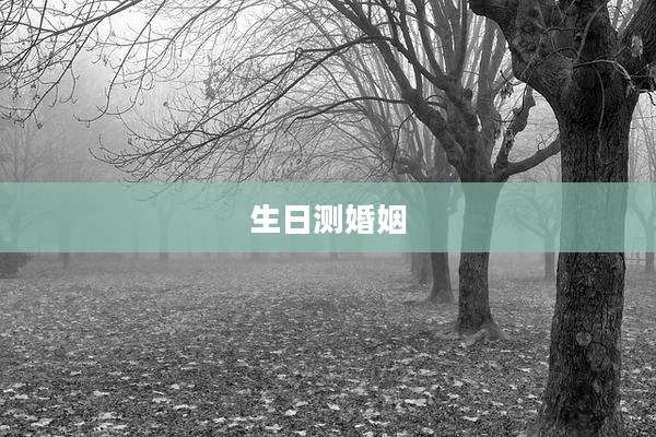 生日测婚姻