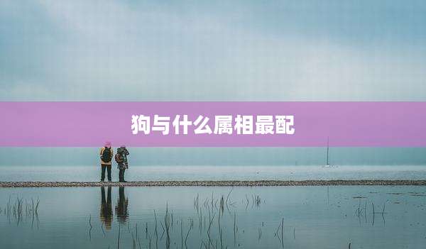 狗与什么属相最配