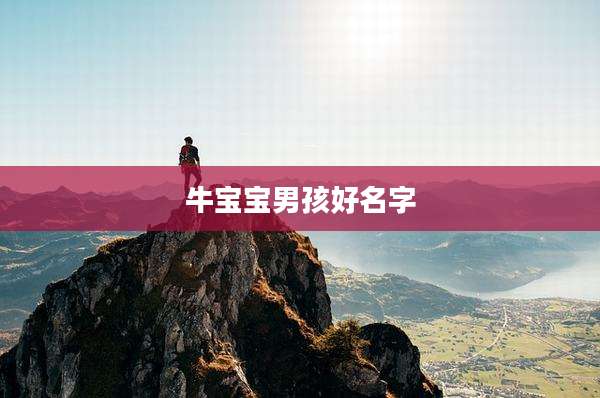 牛宝宝男孩好名字