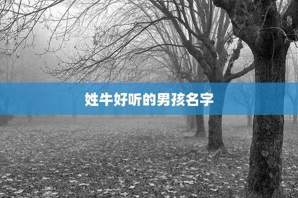 姓牛好听的男孩名字