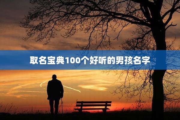 取名宝典100个好听的男孩名字