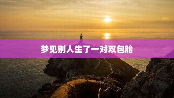 梦见别人生了一对双包胎