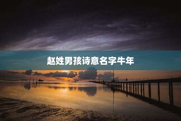 赵姓男孩诗意名字牛年