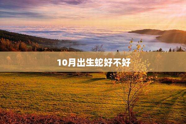 10月出生蛇好不好