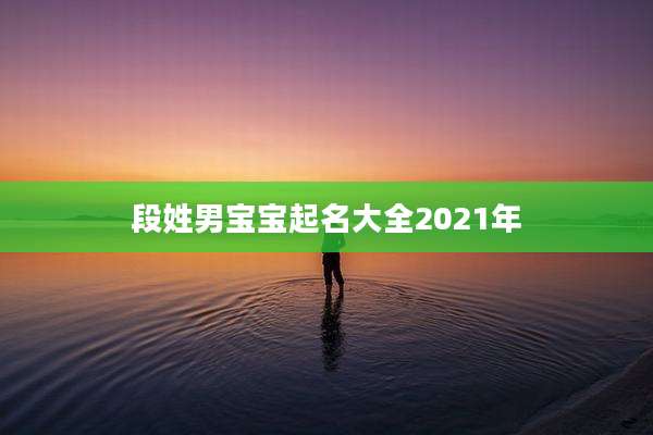 段姓男宝宝起名大全2021年